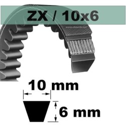 COURROIE TRAPEZOIDALE CRANTEE ZX20