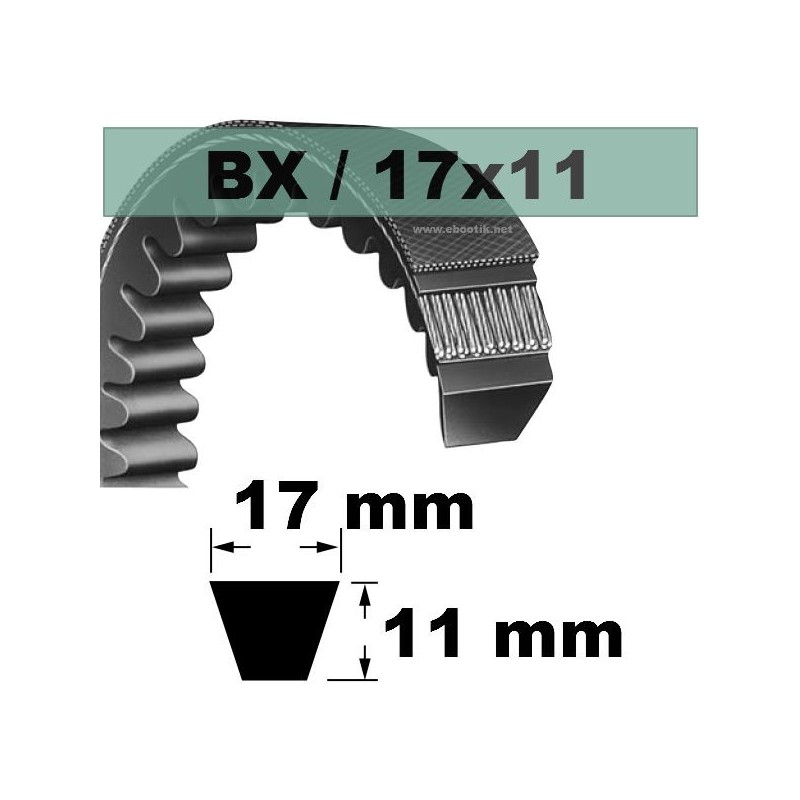 BX23 BX23