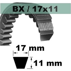 BX25