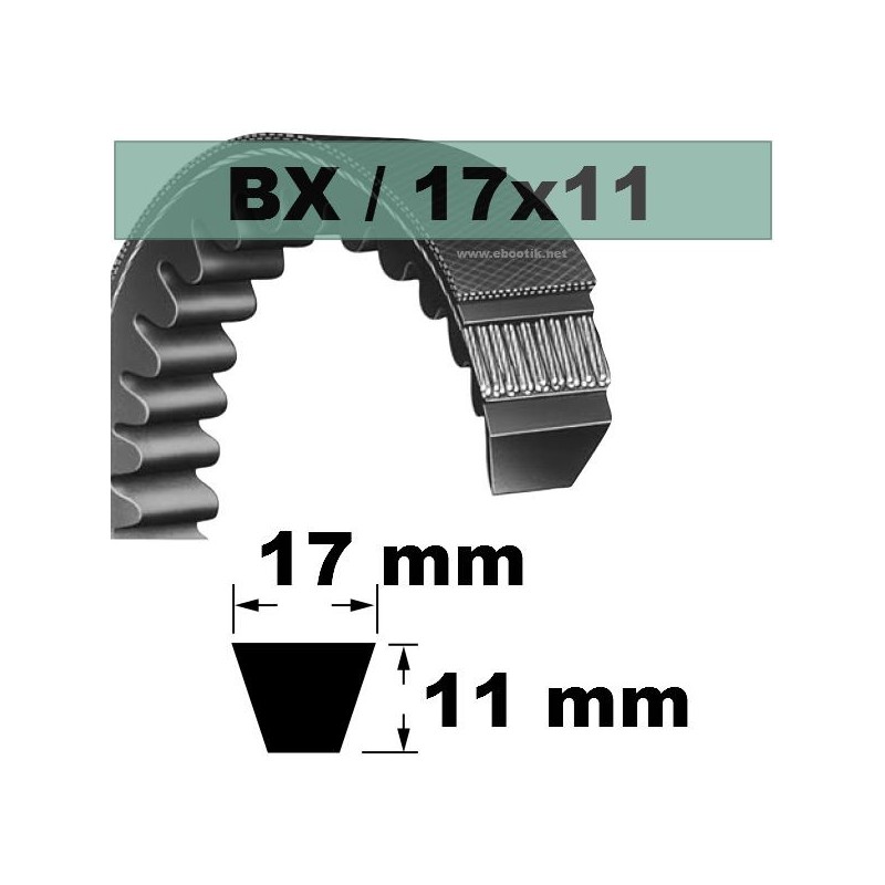 BX25