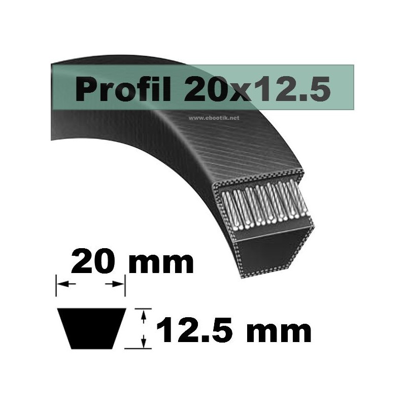 20x1250 20x1250