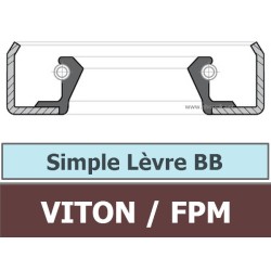 100X120X12 BB FPM/VITON