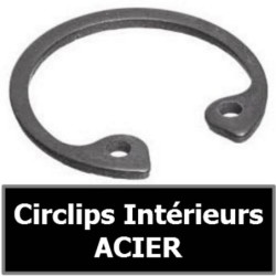 CIRCLIP 295.00 mm INT ACIER