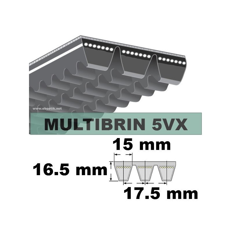 5VX500x2 Brins