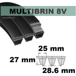 8V1900x2 Brins