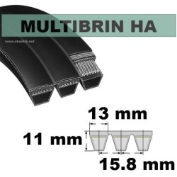 HA118x6 Brins