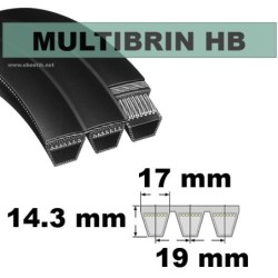 HB51x3 Brins