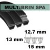 SPA1307x2 Brins