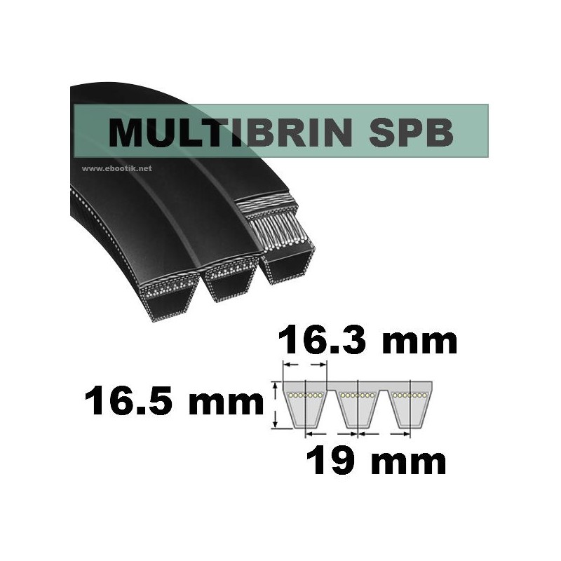 SPB2000x2 Brins