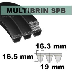 SPB2120x3 Brins