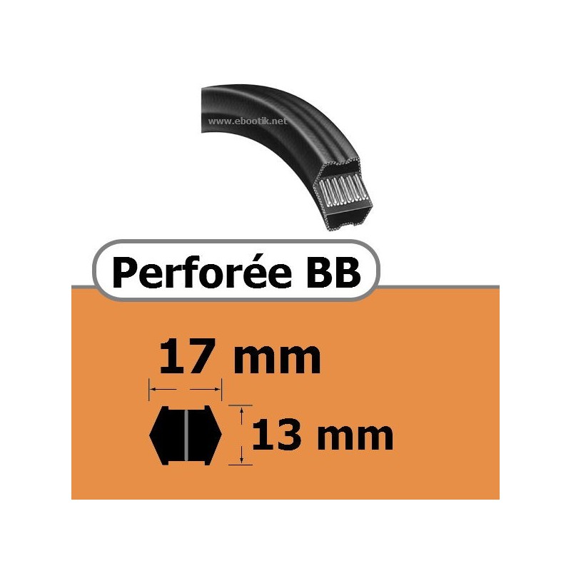 PERFOREE BB 17 x 14 mm