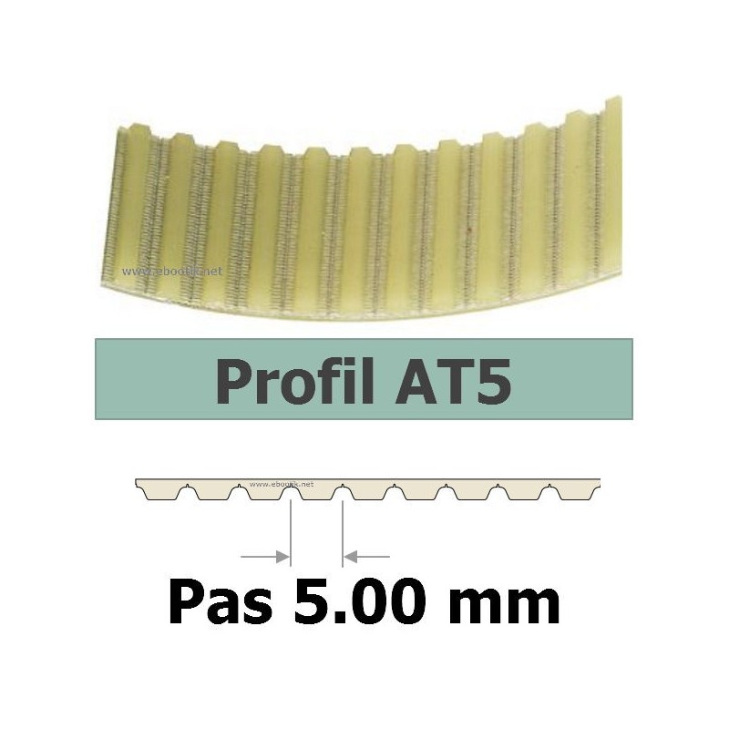 455AT5/10 455AT5/10