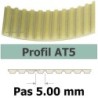 455AT5/25