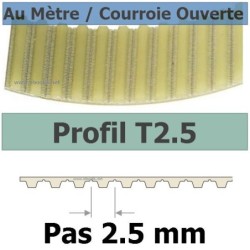 T2.5-6