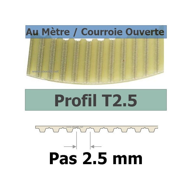 T2.5-6 T2.5-6
