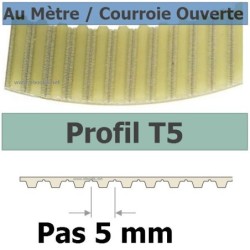 T5-25