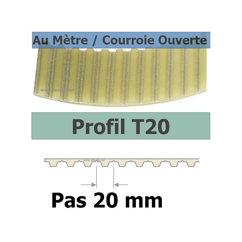 T20-100 T20-100