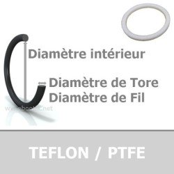 22.00x3.00 PTFE