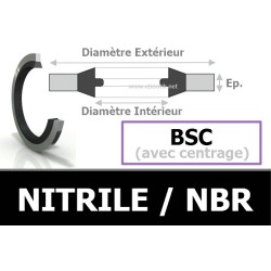 BSC20.70x28.00x1.50 / 873 NBR