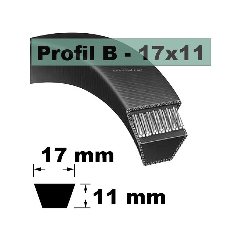 B51 - 1701300 B51 - 1701300